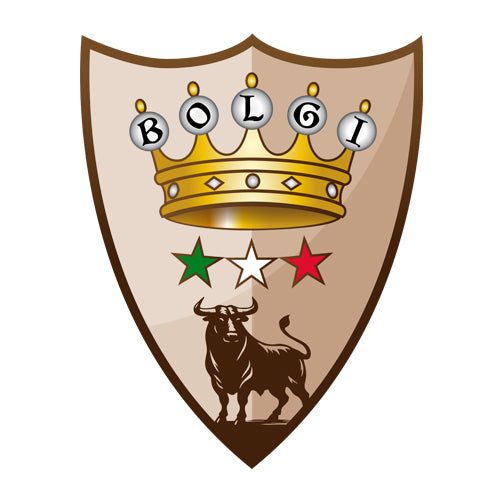 Bolgi